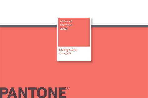 Pantone Color Of The Year Color Of The Year Website Design