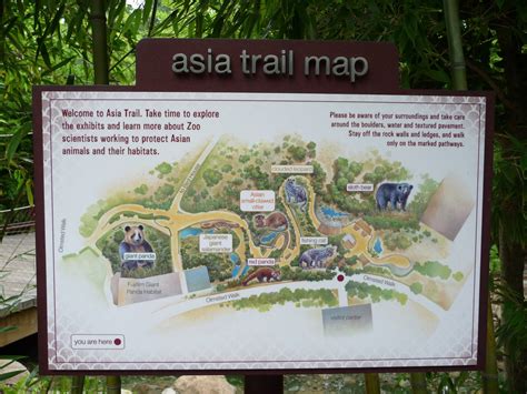 National Zoo Asia Trail Map Zoochat
