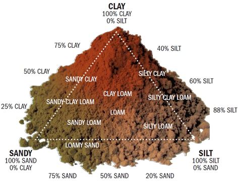 Soil Types Include Sand Silt And Clay The More Sand The More