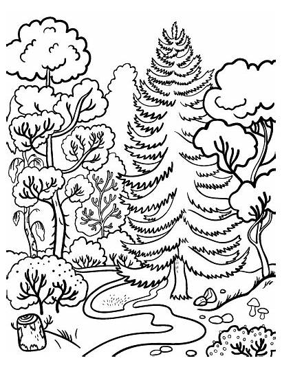 Forest Coloring Pages Printable Coloringcafe Forests Pdf
