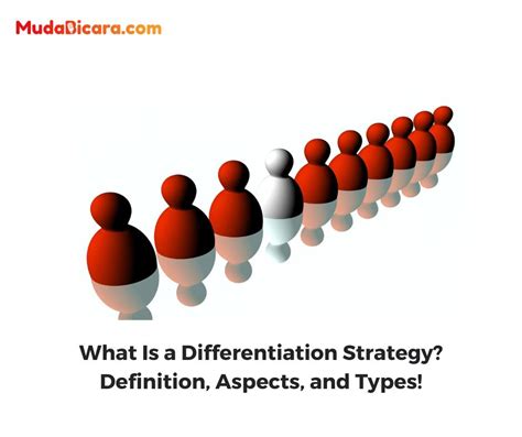 What Is A Differentiation Strategy Definition Aspects And Types