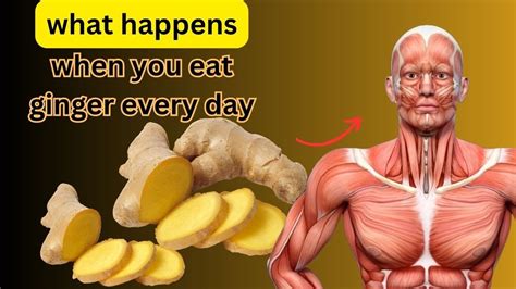 What Happens To Your Body When You Eat Ginger Everyday Youtube