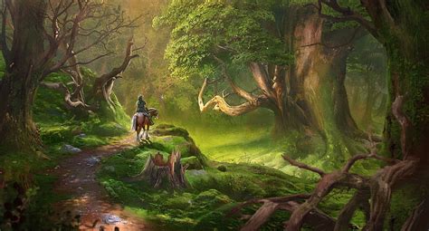 Hd Wallpaper Lost Woods From The Legend Of Zelda Link Tree Forest