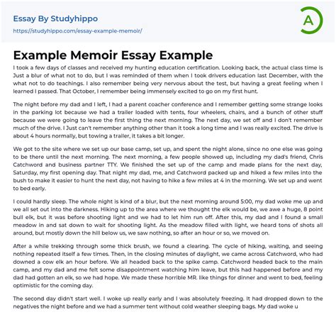 Example Memoir Essay Example