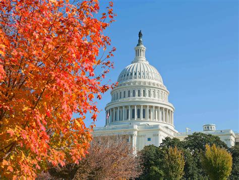 Fall Things To Do In Washington Dc 2023