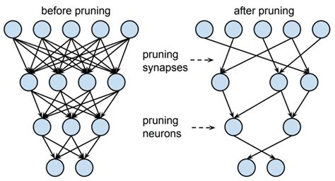 Dimensionality Reduction In Machine Learning