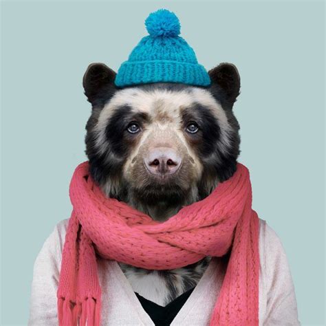 893 Best Bear Illustrations Images On Pinterest Bear