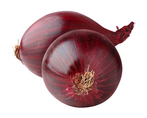 Red Onion PNG Image PNG, SVG Clip art for Web - Download Clip Art, PNG png image
