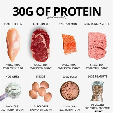 Food Protein In Grams Chart