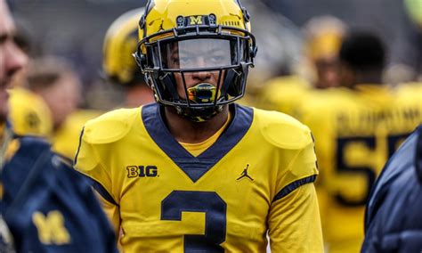 Michigan Football What Jay Harbaugh Sees In Freshman Defensive Backs