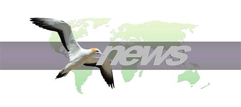 Hd Wallpaper Shallow Focus On World Business B3 Newspaper Background