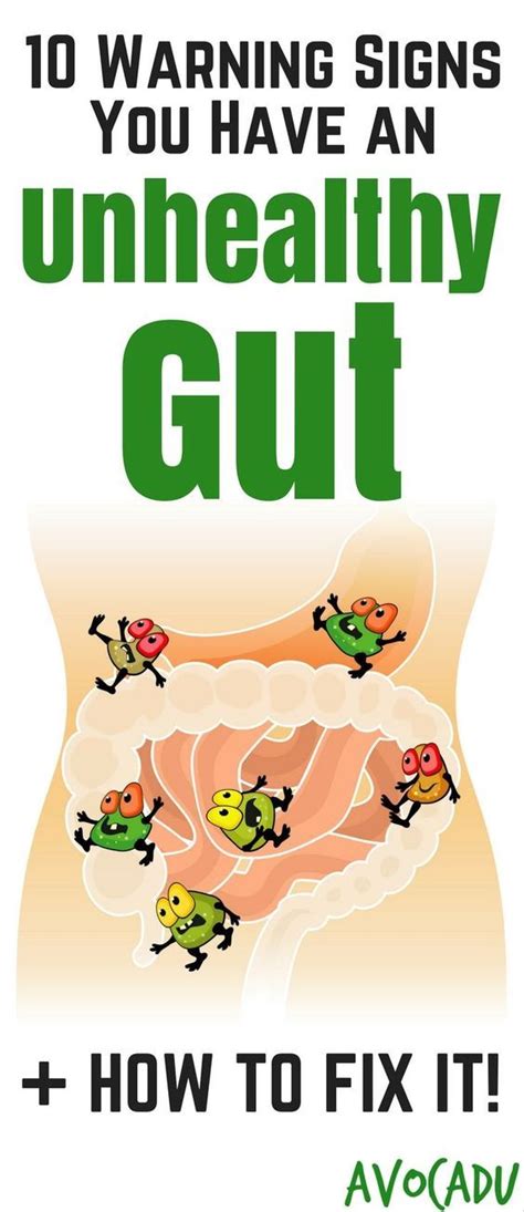 10 warning signs you have an unhealthy gut what to do about it gut health heal leaky gut