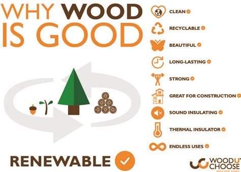 Is Wood A Sustainable Material Wood The Renewable Resource Is Wood