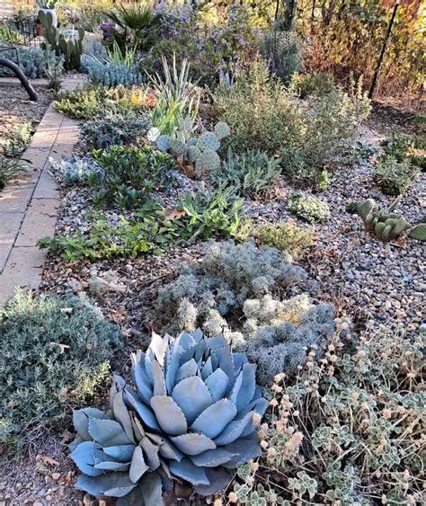 19 Desert Landscaping Ideas To Try