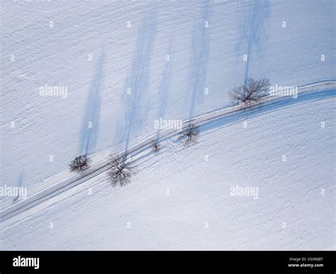 Windy Winter Road In Snow Covered Fields Stock Photo Alamy