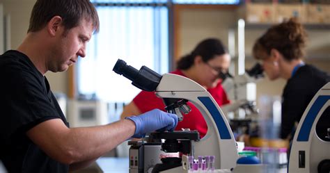 Health Science Degrees Medical Laboratory Technician Western Dakota Technical College