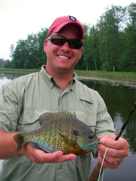 Fly Fishing For Bluegill Panfish Bass On Lakes Current Works