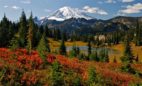 A Guide To Mount Rainier National Park