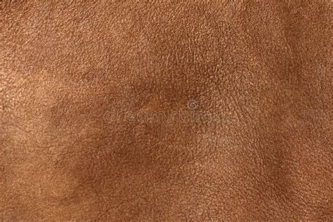Brown Leather Of Wild Animal Texture Leather Background Brown Color
