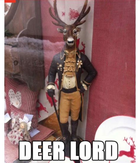 17 Best Images About Deer Memes On Pinterest Deer