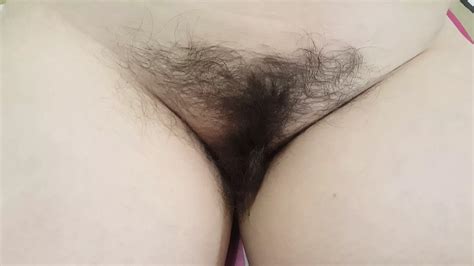 hairy pussy xhamster