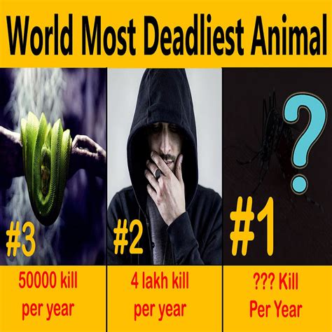 Top 5 Most Deadliest Animals In The World