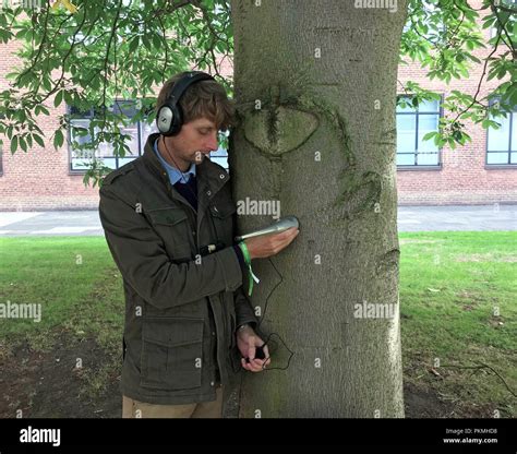 Artist Alex Metcalf Eavesdrops On A Horse Chestnut Tree At The British