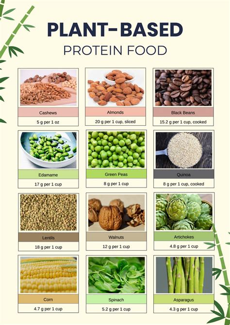 Plant Based Protein Food Chart In Illustrator Portable Documents