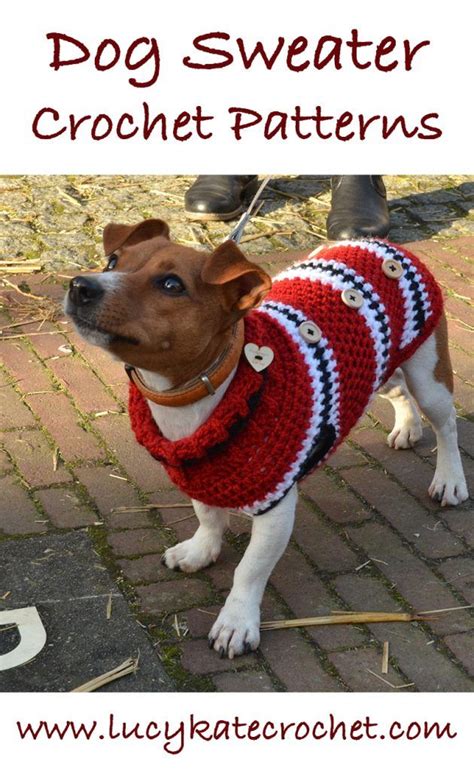 A Brown And White Dog Wearing A Red Sweater