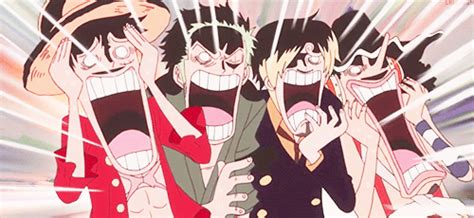 Luffy Sanji Zoro Usopp Surprised Funny  One Piece Anime