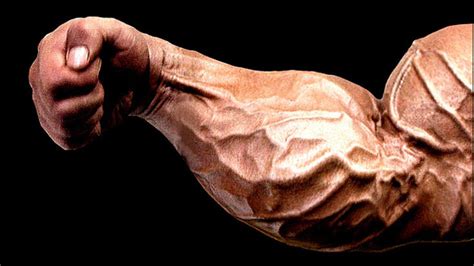 How To Get Bigger Forearms And Wrists Godlike Arm Workout