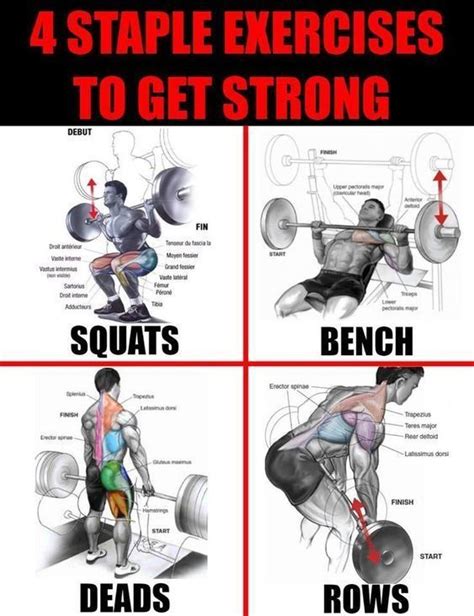 Weight Training Workouts Gym Workout Tips Dumbbell Workout Fitness