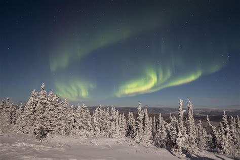 Aurora Borealis After A Fresh Snowfall Fairbanks Alaska On Evening Of 1