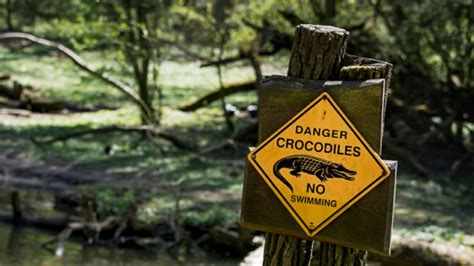 Infographic Australias 10 Most Dangerous Animals Mental Floss