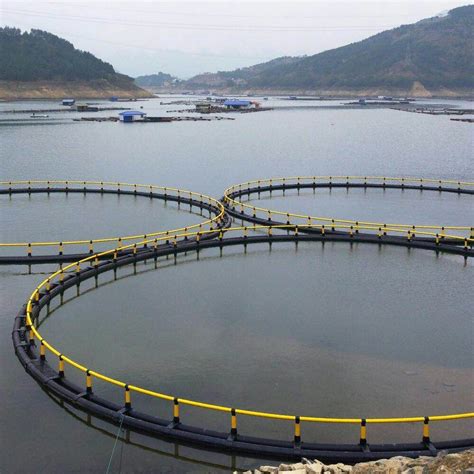 Circular HDPE Offshore Aquaculture Fish Cage China Circular And