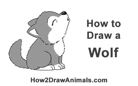 How To Draw A Wolf Howling Cartoon Video And Step By Step