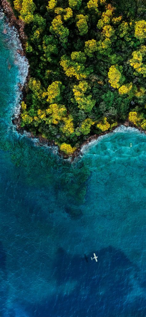 Fantasy Island Wallpaper 4k Aerial View Forest Ocean 2020 5k