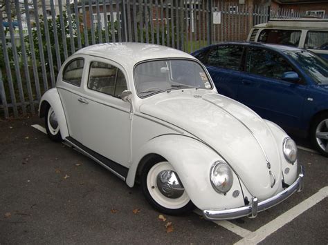 Vw Bugs Your Daily Car Fix White Beetle Beetle Bug Vw Beetles Car