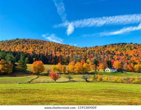 Fall New England October 2019 Foliage Stock Photo 1595389009 Shutterstock
