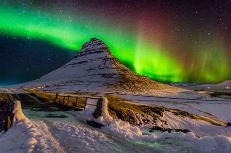 Winter Wildlife And Northern Lights Self Drive In Iceland