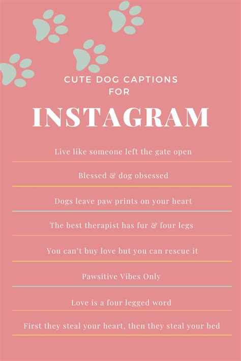 Dog Instagram Captions Dog Instagram Captions Dog Mom Quotes