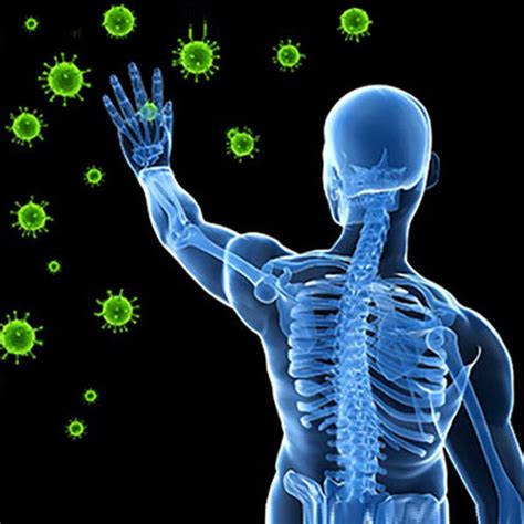 How Your Immune System Functions
