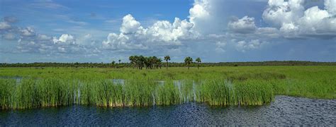 River Of Grass Everglades 2020 Photograph By Joey Waves Pixels