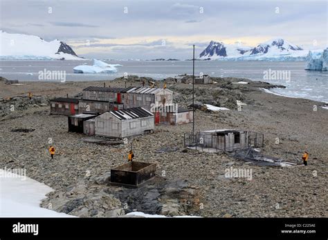 British Antarctic Survey Base E Stonington Island Marguerite