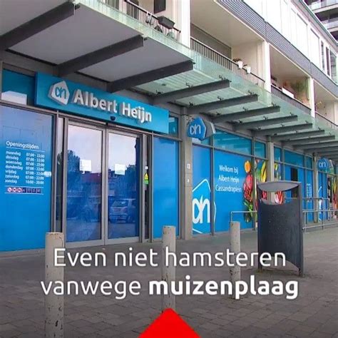 Omroep Brabant On Instagram “hamsteren Voorlopig Niet Bij Deze Albert