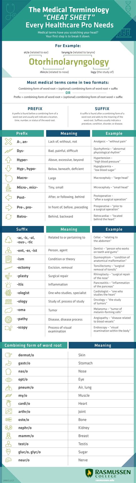 Medical Terminology Prefixes Worksheet