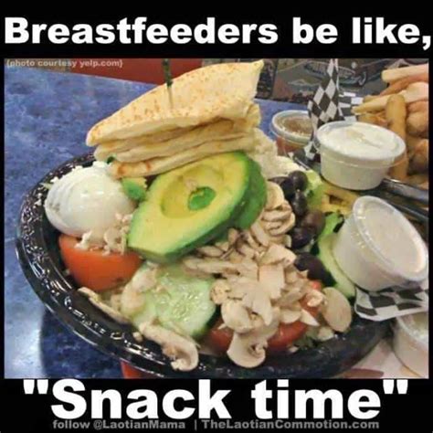 56 hilarious breastfeeding memes that are so relatable thrifty nifty mommy