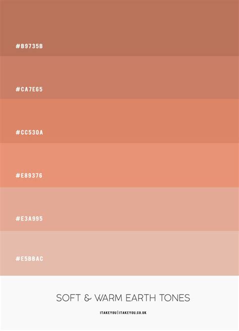Earth Tone Colour Palette In Shades Of Amber Brown And Terracotta