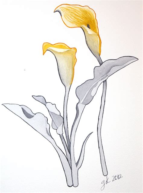 Calla Lilies Drawing At Getdrawings Free Download