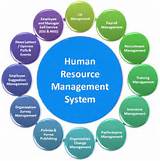 Human Resource Payroll Management Pictures